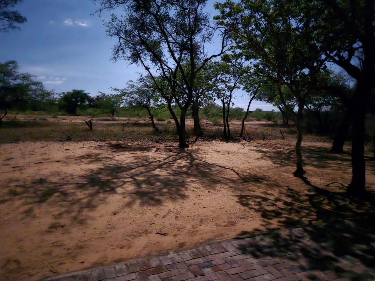 Villa Limpopo Bushveld Retreat Vaalwater Esterno foto