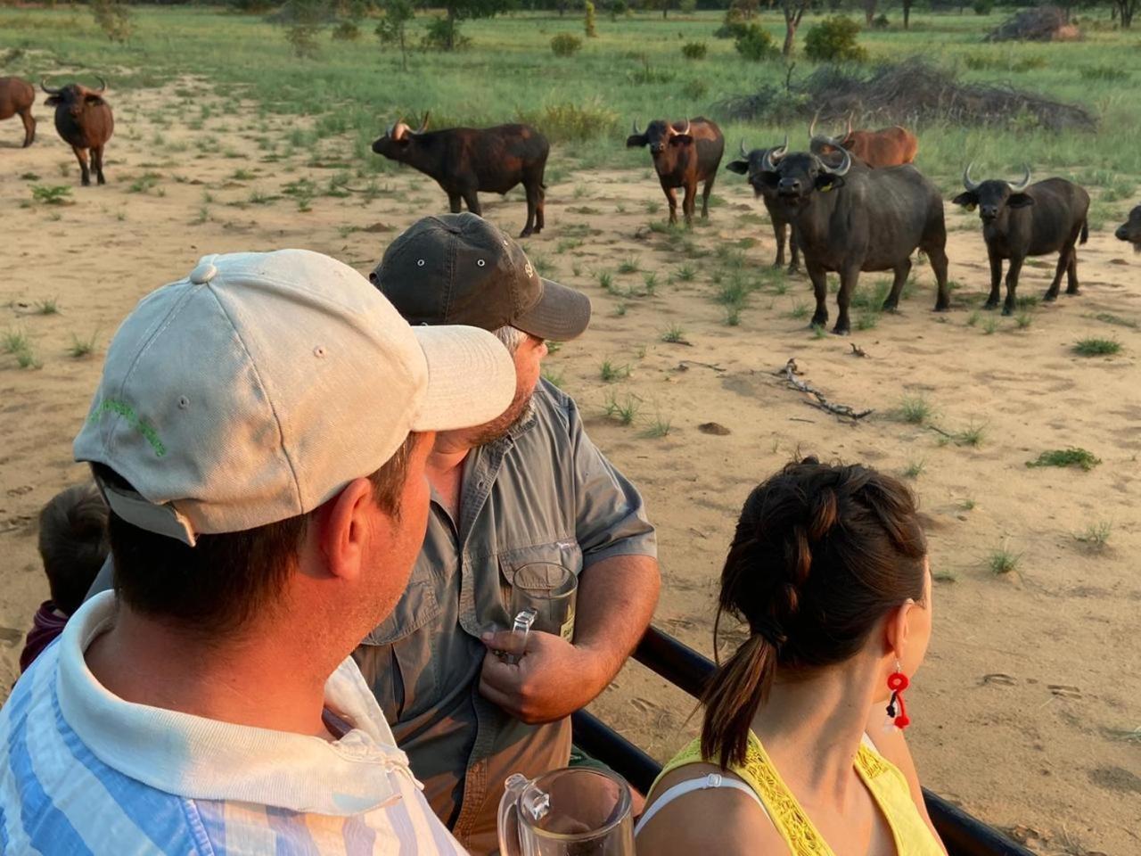Villa Limpopo Bushveld Retreat Vaalwater Esterno foto
