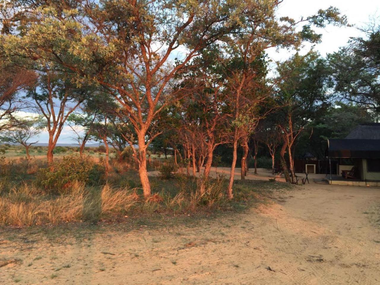 Villa Limpopo Bushveld Retreat Vaalwater Esterno foto